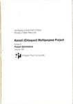 Karnali (Chsapani) multipurpose project Annex H -project optimization, 1989; p.222