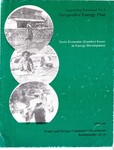 Socio-economic (gender) issues energy development, 1995;p.56